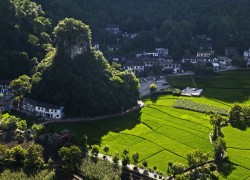 通过ng导航提升在线教育平台的互动性