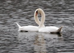 探讨南宫旗下PG在年轻消费群体中的影响力