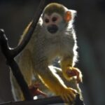 南宫28的历史人物与传奇故事 wzcul67