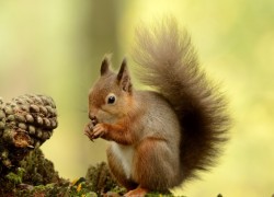 探索南宫平台的多样化投资产品